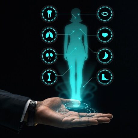 Therapeutic-Segments