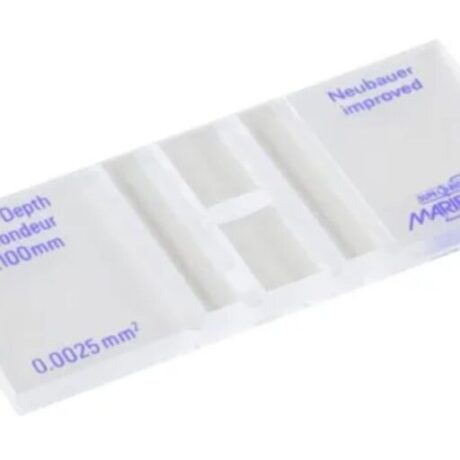 Counting chamber Neubauer