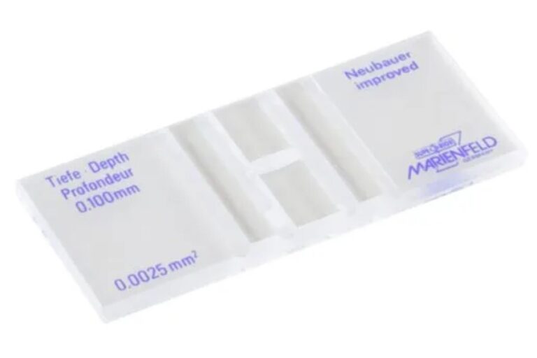 Counting chamber Neubauer Counting chamber Neubauer