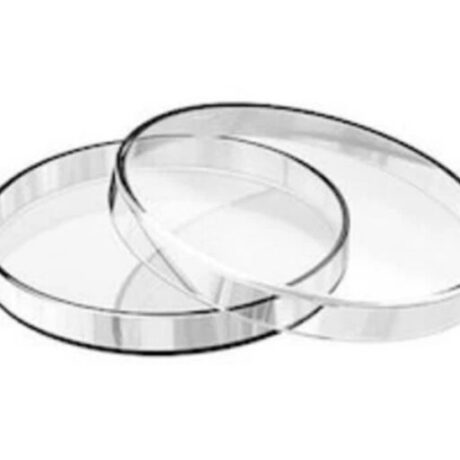 Petri dish