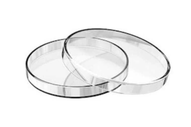 Petri dish Petri dish